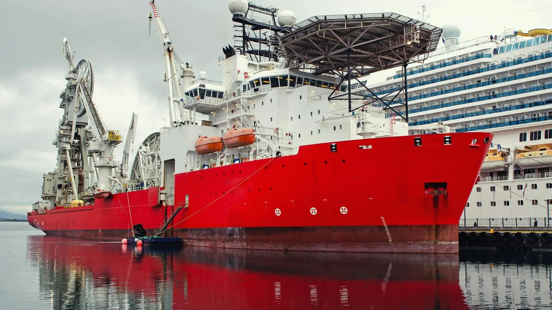 pexels-photo-14928994-1