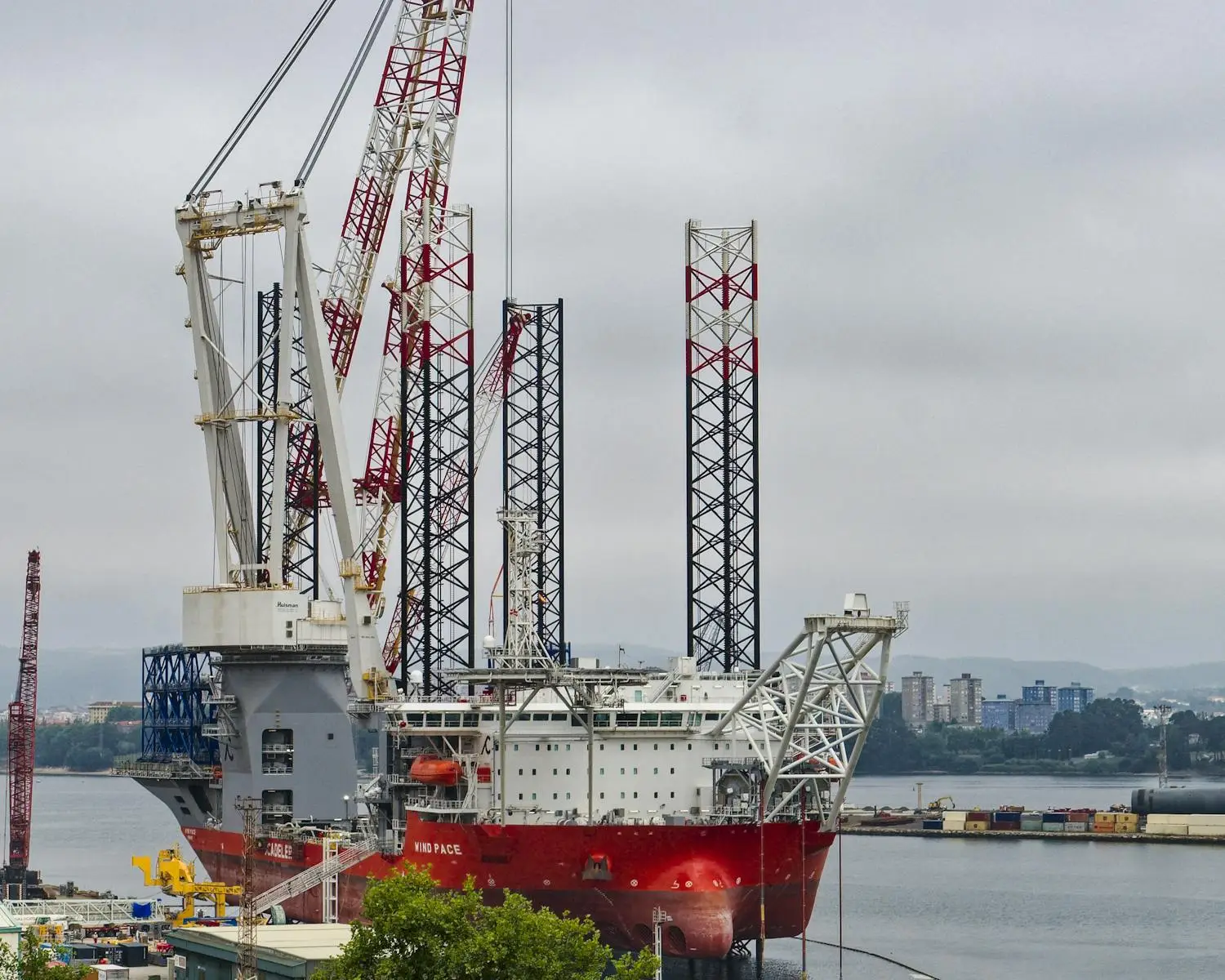 pexels-photo-32664811